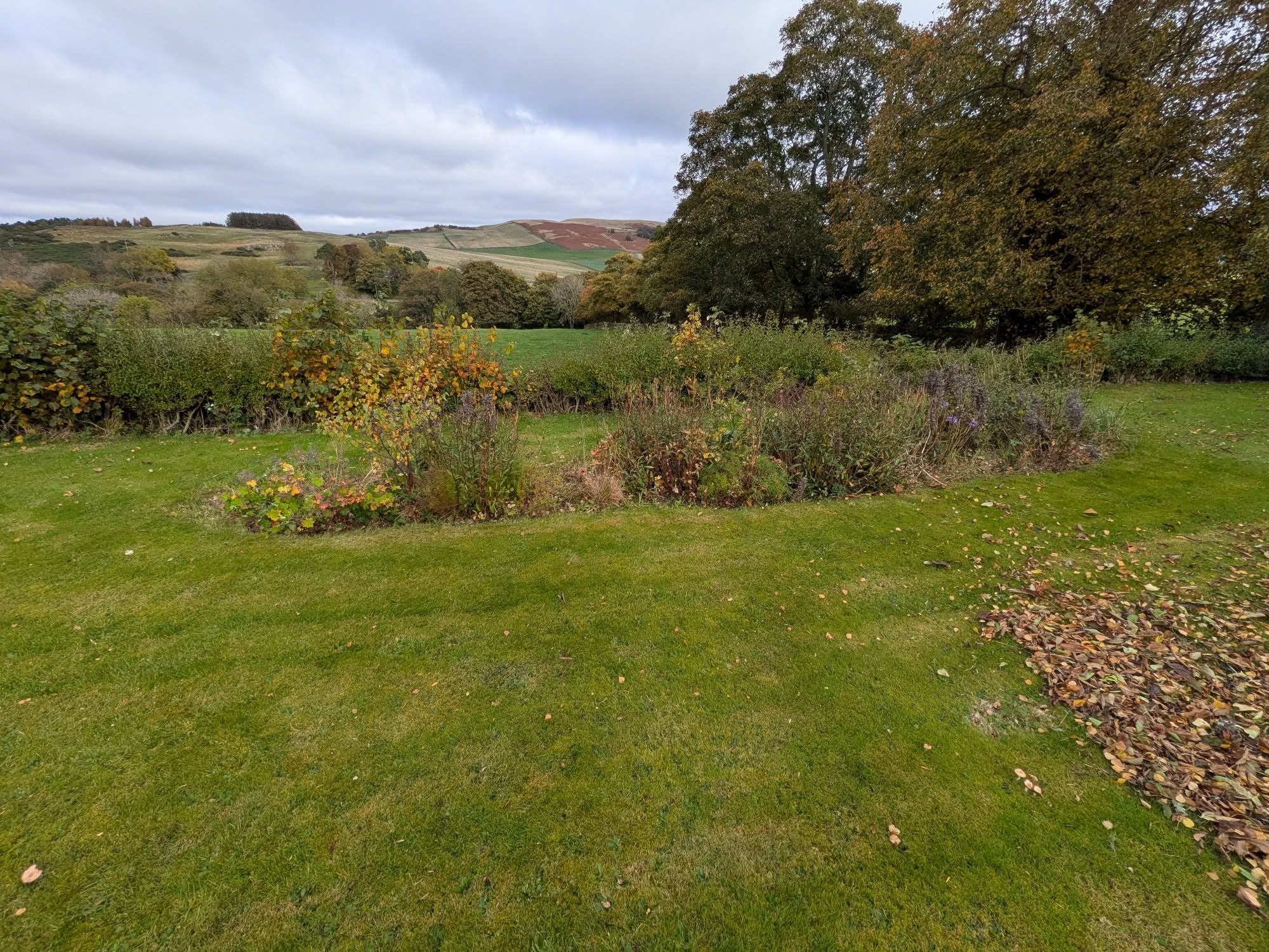 A large Borders garden with a cut lawn and tidy borders
