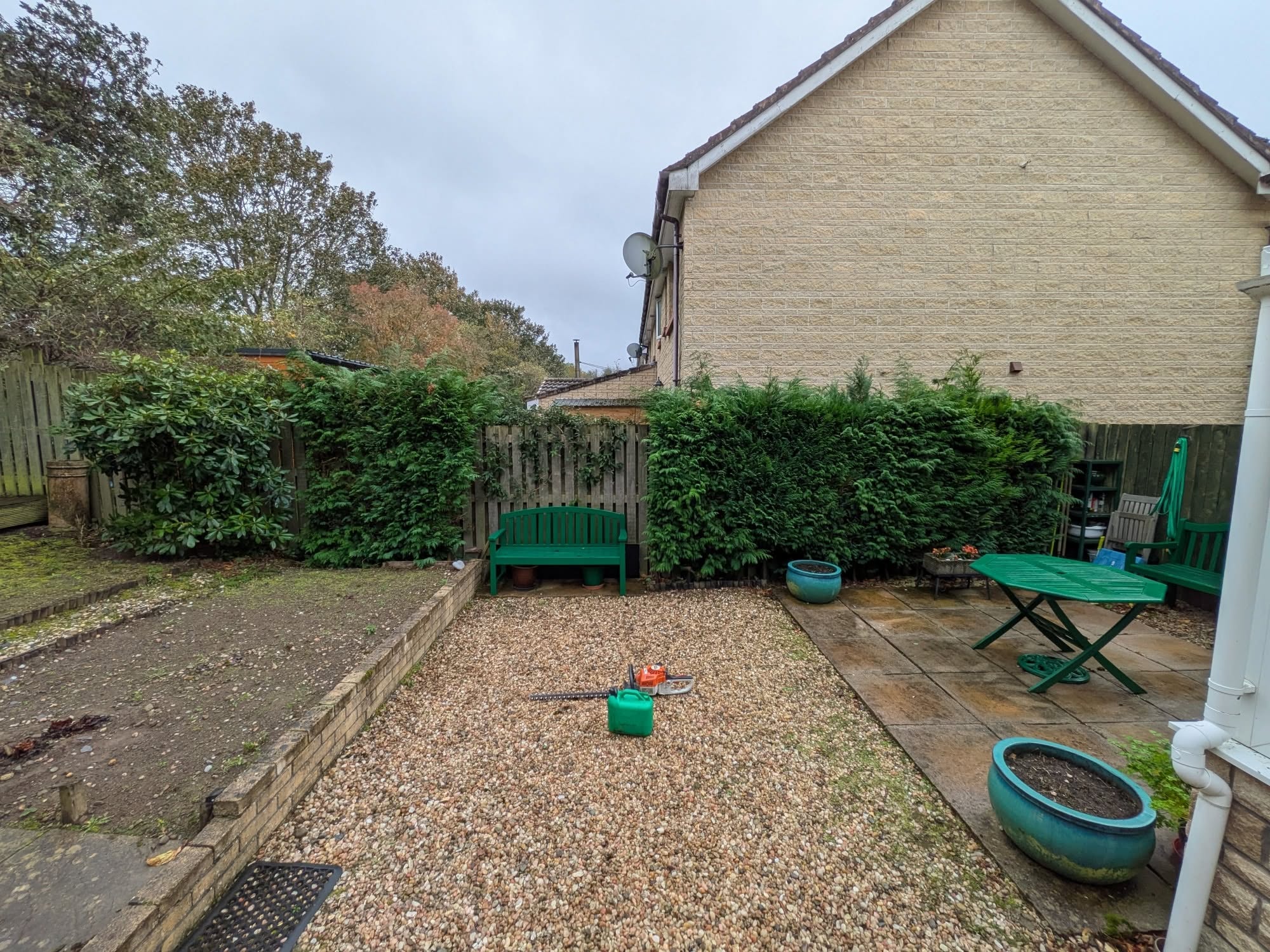 A gravel garden with the beds weeded and the hedge trimmed